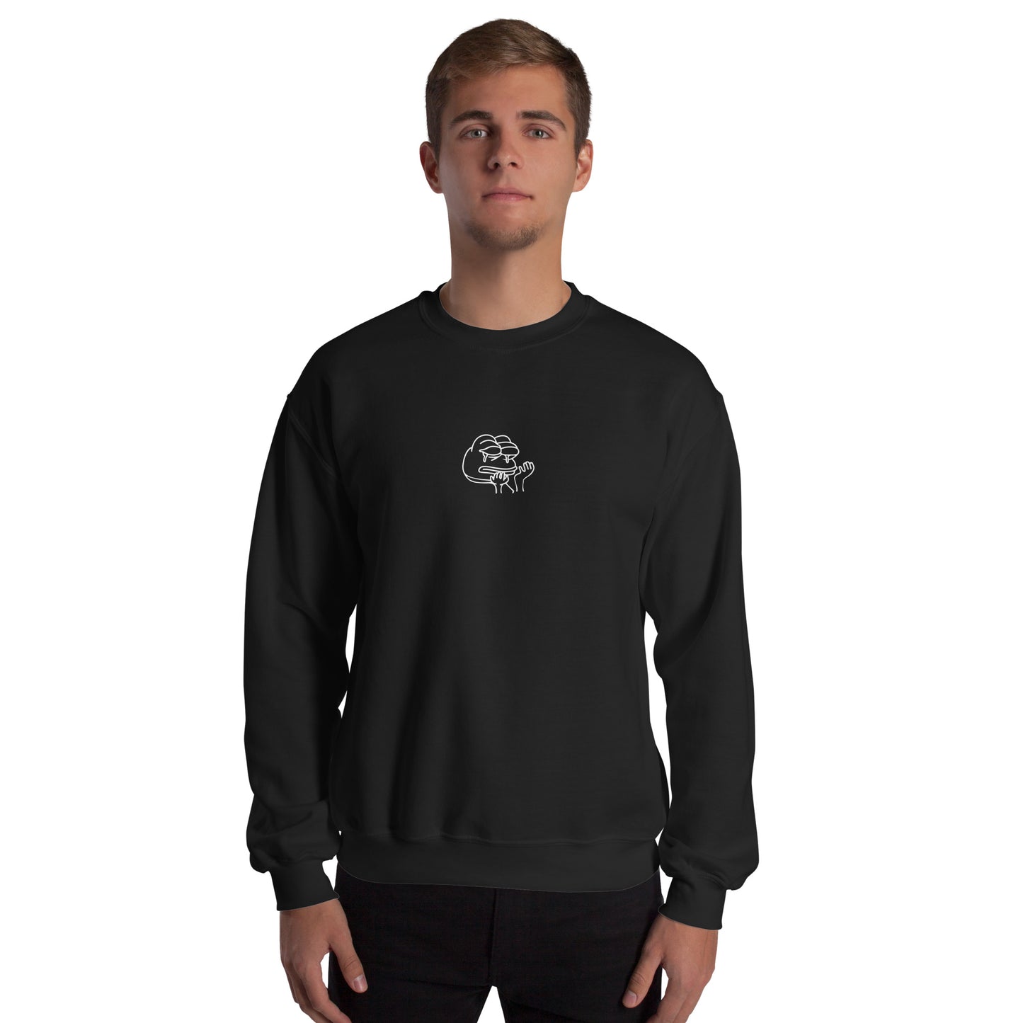 Pullover - Funny Frog Meme