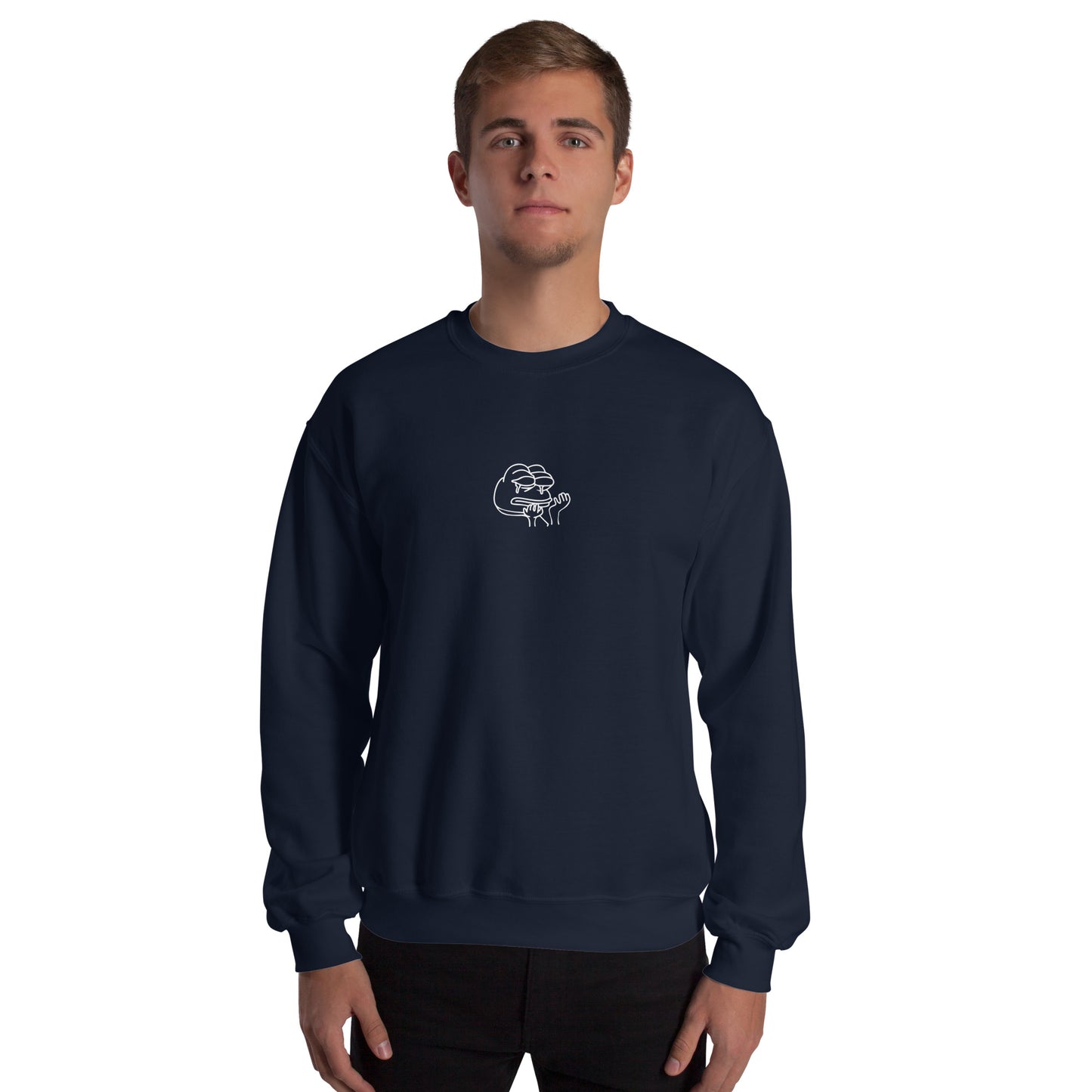 Pullover - Funny Frog Meme